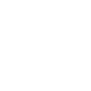 Academic Writing